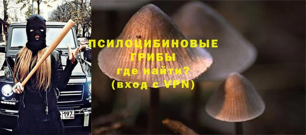 герыч Алексин