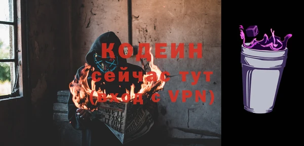 ешки Новодвинск