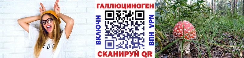 Галлюциногенные грибы Psilocybe  ссылка на мегу tor  Хилок 